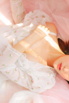 一树梨花压海棠